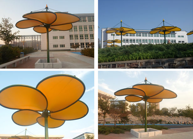 财贸学院葫芦岛景观膜结构完工成品图